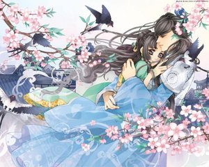 域名发布页秘密入口